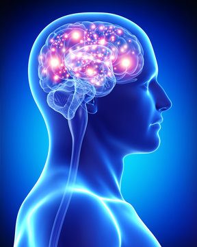 Illustration of an active human brain with glowing neural activity