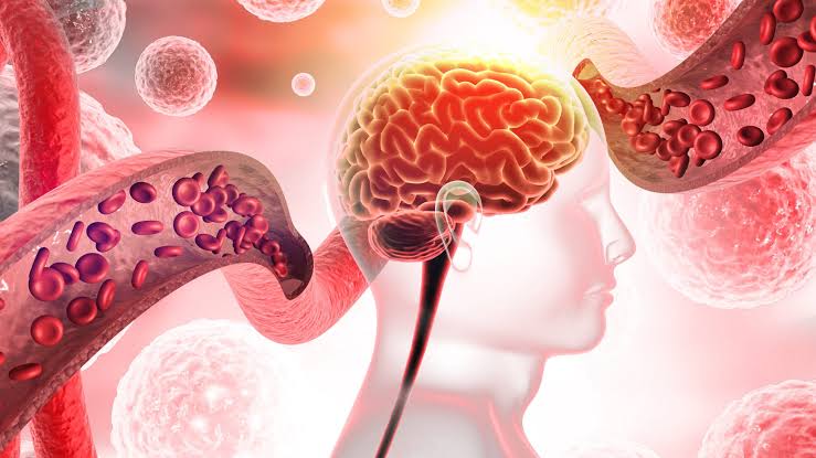 Illustration of a human brain and blood sample